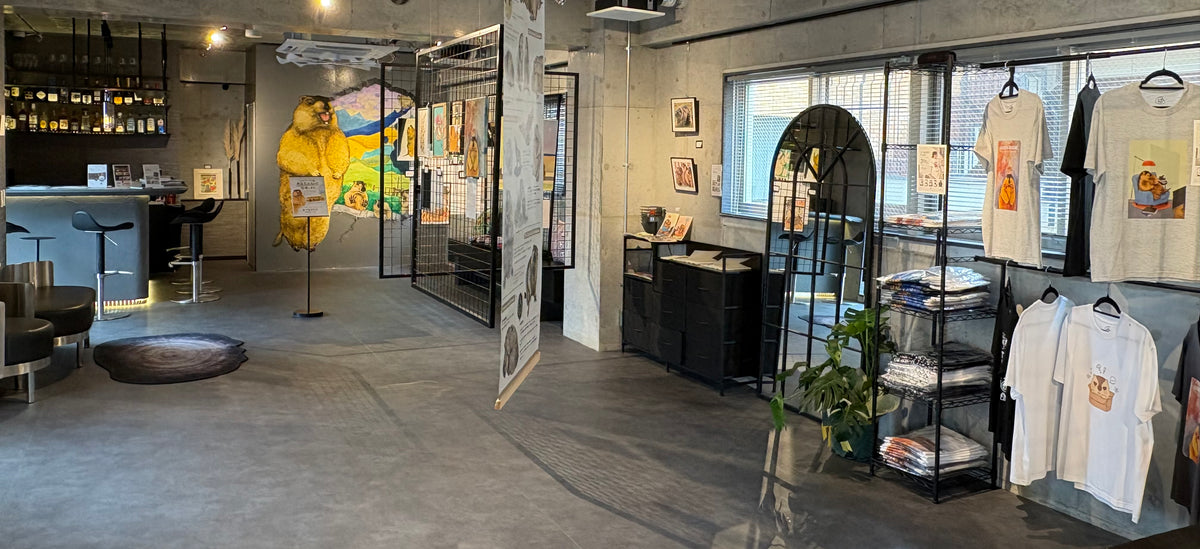 吉祥寺・マモテラス2F Art Lounge TSUBOMIの実際の内観